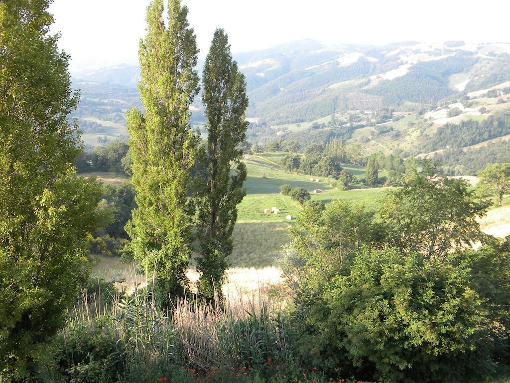 Agriturismo Borgo San Benedetto Villa Pietralunga  Eksteriør billede