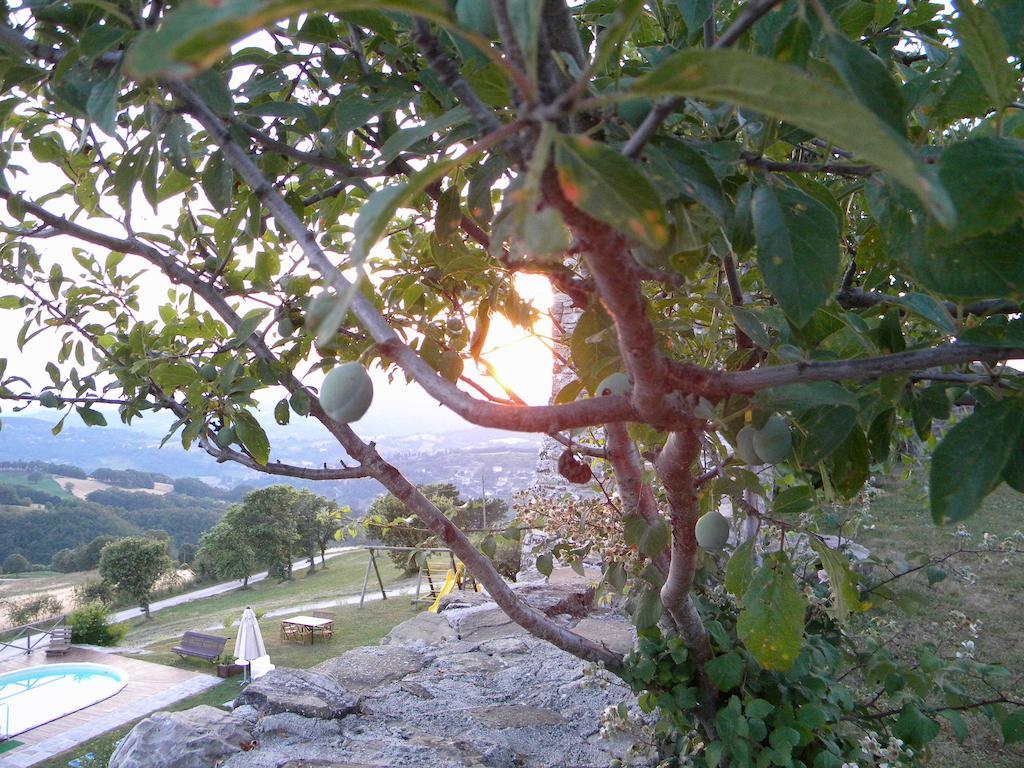 Agriturismo Borgo San Benedetto Villa Pietralunga  Eksteriør billede